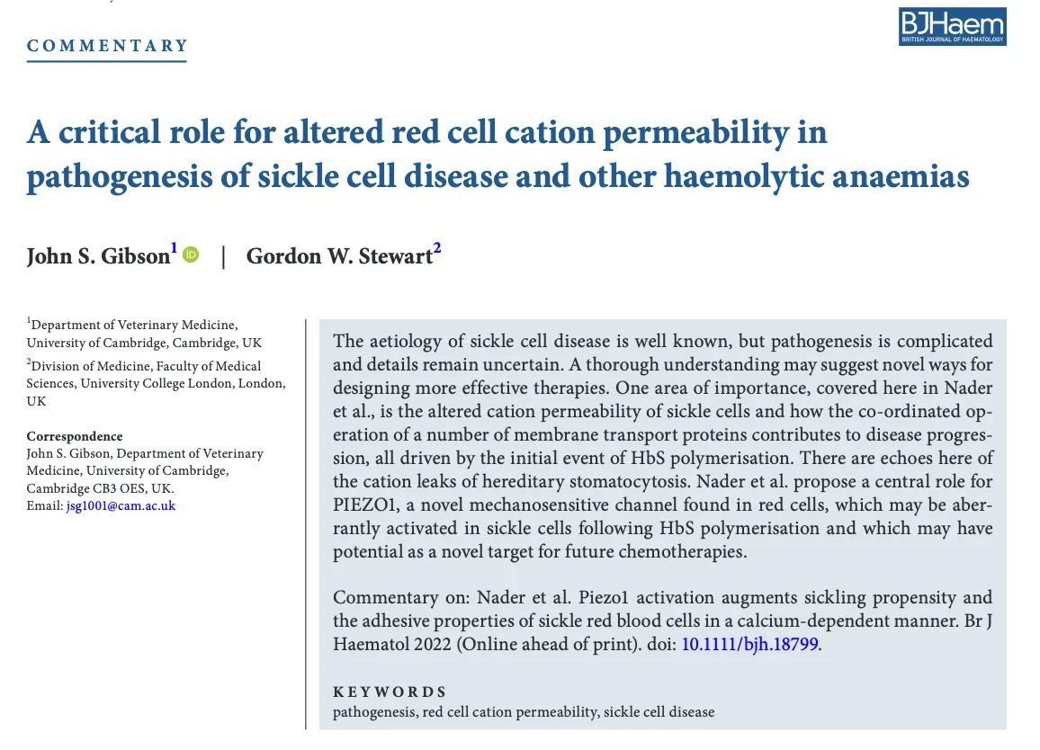 "Critical role for altered red cell cation permeability in pathogenesis of sickle cell disease and other haemolytic anaemias" a commentary by J. Gibson and G. Stewart about the recent publication of Nader et al.   <a href="/ConnesPhilippe/">Connes Philippe</a> <a href="/stef8227/">stef8227</a> @Nic_conran 
buff.ly/40XG6rS