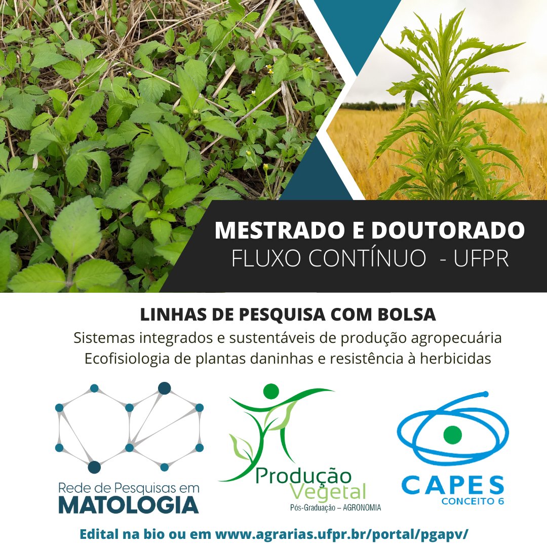 UfprS's tweet photo. We're looking for Weed Science PhD students, great opportunity to know Brazil ! More info at 
https://t.co/I775uweXci https://t.co/0M5dOfW57J