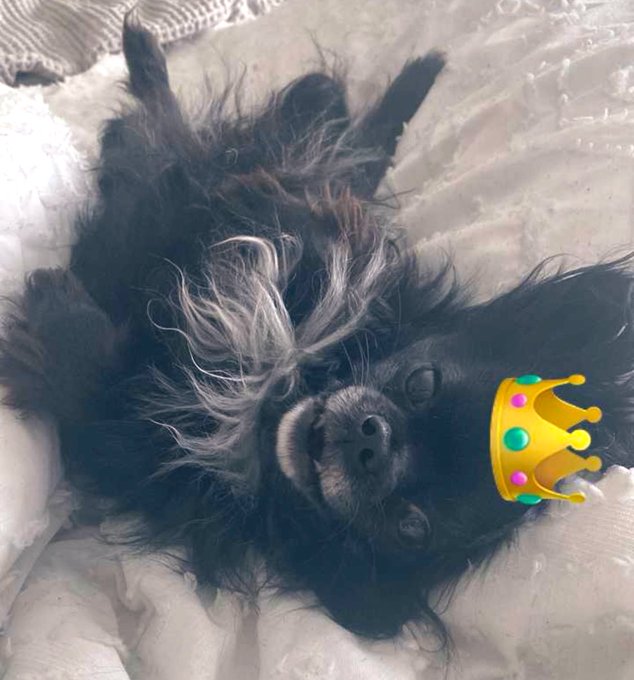 TW Pornstars - Jen Flix PINK CANOE CLUB™️. Pictures and videos from