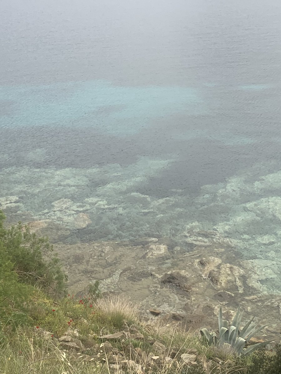 laurentmichel75's tweet photo. #Egee #Kymi 🌞🌊🫒🌼🌿 https://t.co/RwCPgpV4yB