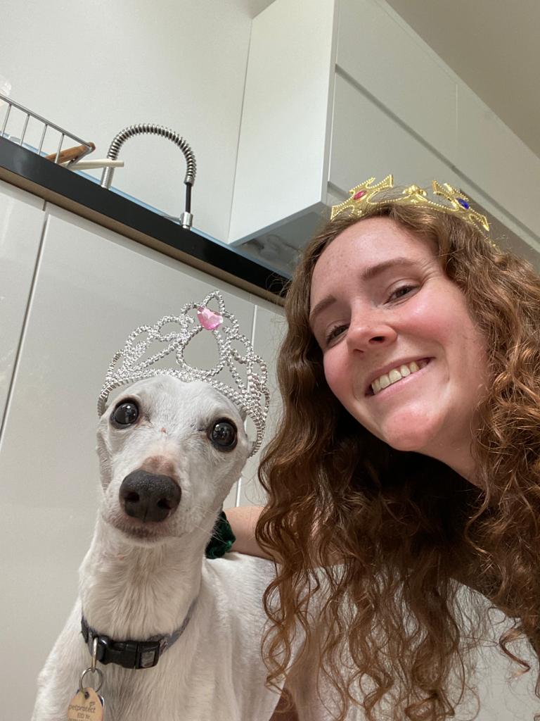 surfwhippet's tweet photo. @HeckinGoodDogs Celebrating the Kings coronation https://t.co/vTjmVeNSSO