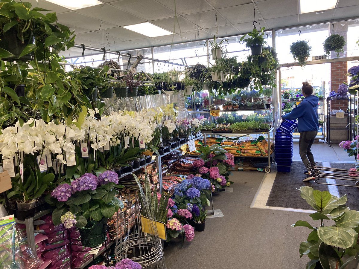 SkrticX's tweet photo. Met Dennis Lynch, family owner of Buyers Outlet, a variety and flower shop in Warren Village Plaza. Cult following among plant lovers for vast selection and incredible deals. Highly recommend visiting this amazing 35-year-old business. Photos: April 8, 2023. https://t.co/LBz0kIr1Vt