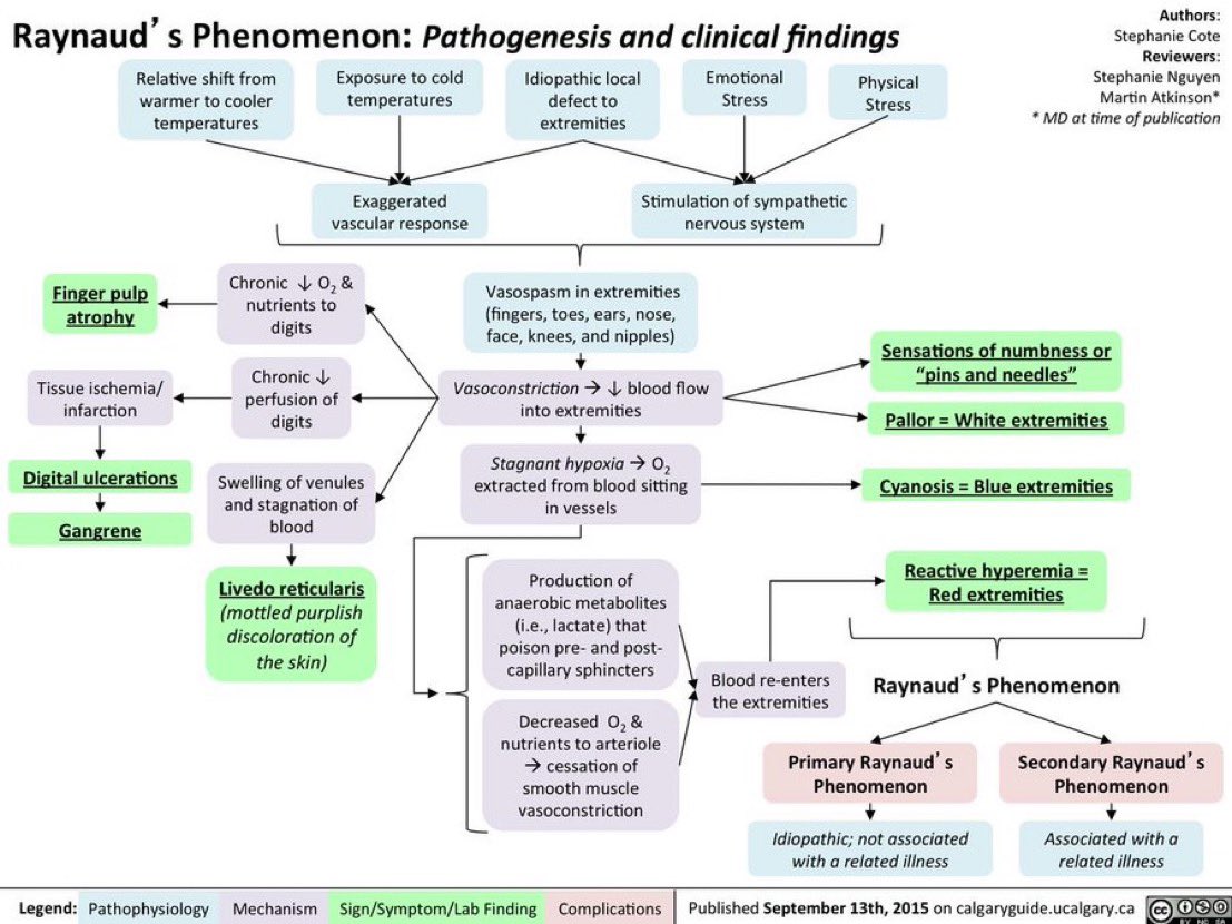 Journal of Brown Hospital Medicine tweet media