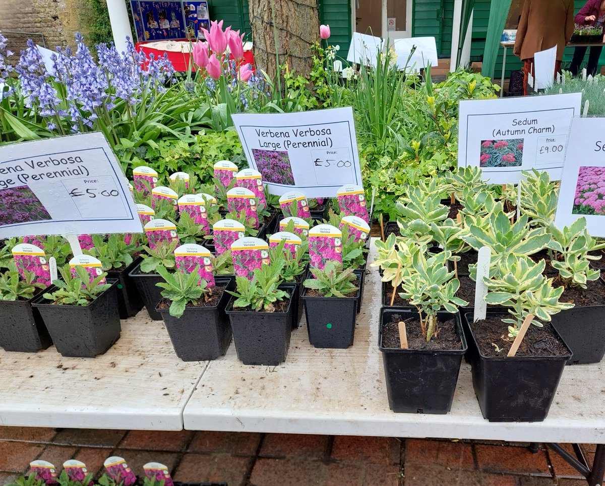 Harington (@haringtonscheme) on Twitter photo Thank you to everyone who came along to our Plant Sale and Open Day, despite the rain. We're doing it all again tomorrow! Lots of lovely plants, more cake and live music from the awesome <a href="/londonbrassband/">London Metropolitan Brass</a> Sunday 7th May 10am til 1pm. Thank you to everyone who came along to our Plant Sale and Open Day, despite the rain. We're doing it all again tomorrow! Lots of lovely plants, more cake and live music from the awesome <a href="/londonbrassband/">London Metropolitan Brass</a> Sunday 7th May 10am til 1pm.