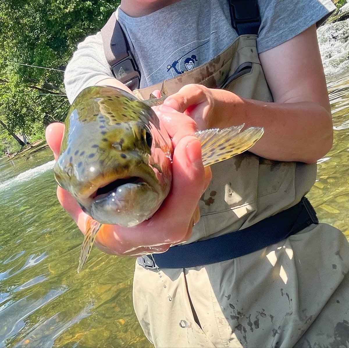 FemboyFishing🏳️‍⚧️🎣 on Twitter "Can confirm I do wear thigh highs