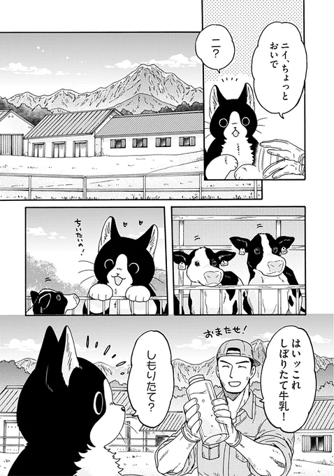 でっかいねこまたがちっちゃかったときのお話🐱🍼(2/4)