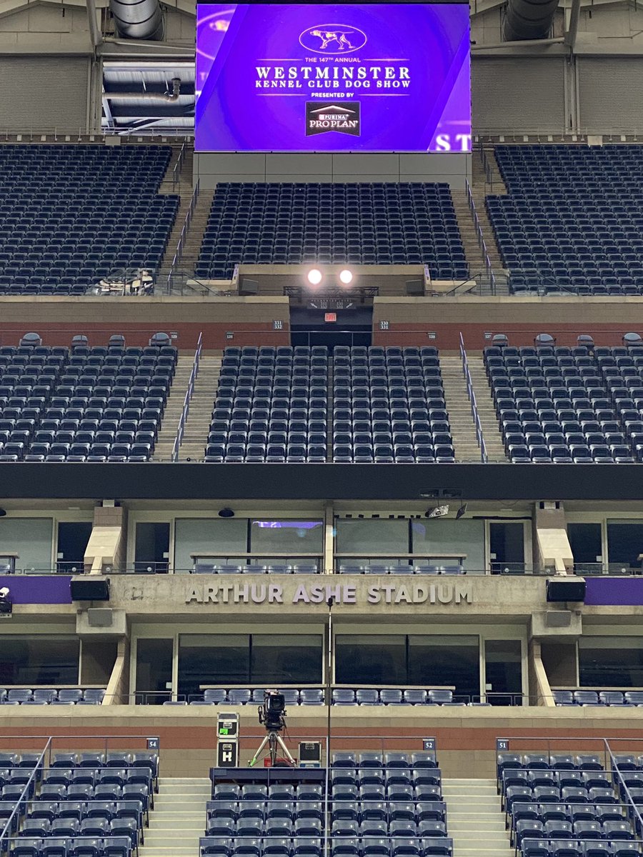 TerrySimons111's tweet photo. Masters Agility Championship at Westminster starts today with prelims streaming on https://t.co/gsA4foqu25 from 8:00am - 4:00pm Finals tomorrow on @FOXTV @FOXSports check local listings. With simulcast streaming FOX Sports App &amp; outside the US on the WKC Dog Show YouTube Channel https://t.co/s8jDCpiN7c