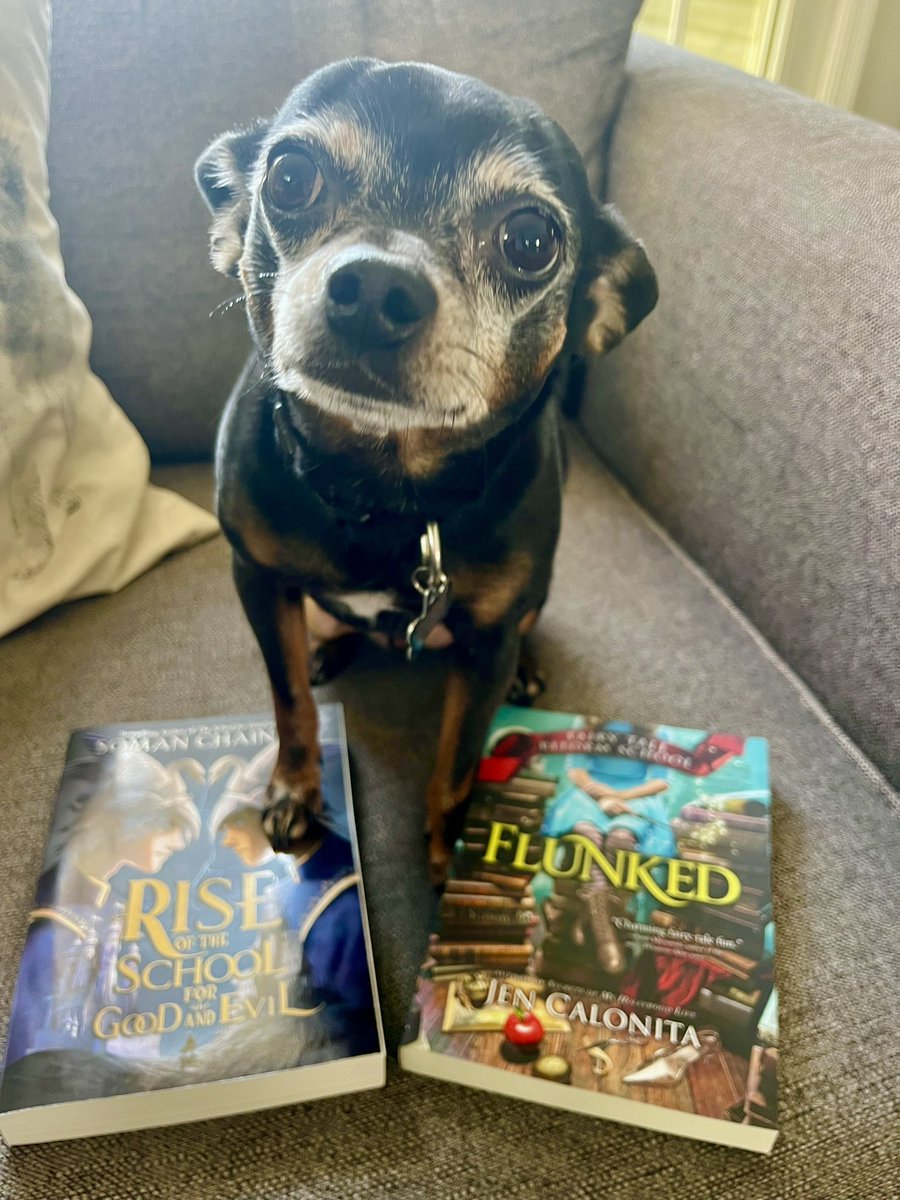 JenCalonita tweet media