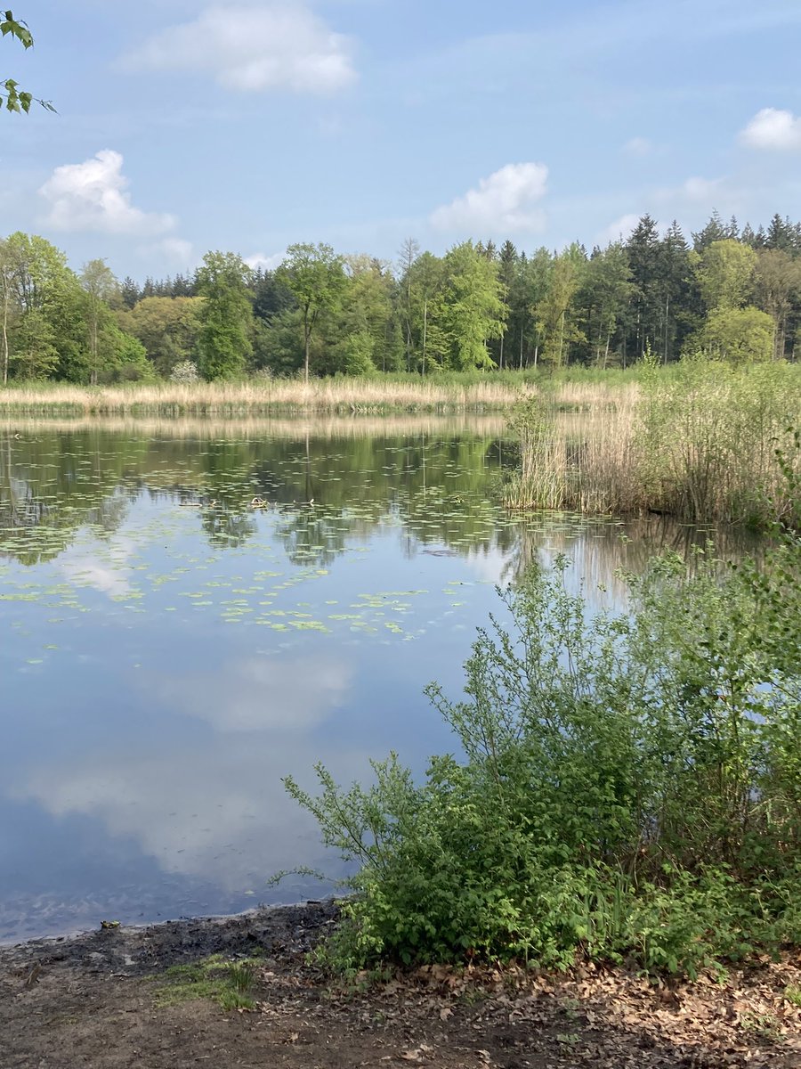 Wees gegroet. Heerlijke wandeling om het Lonnekermeer #lente #twente