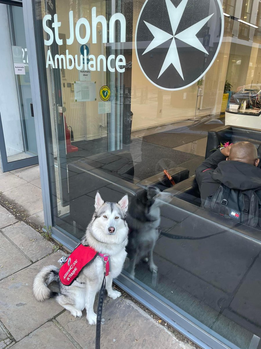 minicooper93's tweet photo. @hblondon Shadow said she wants ID too 😂🙈💚 https://t.co/PlNGuj4R1G