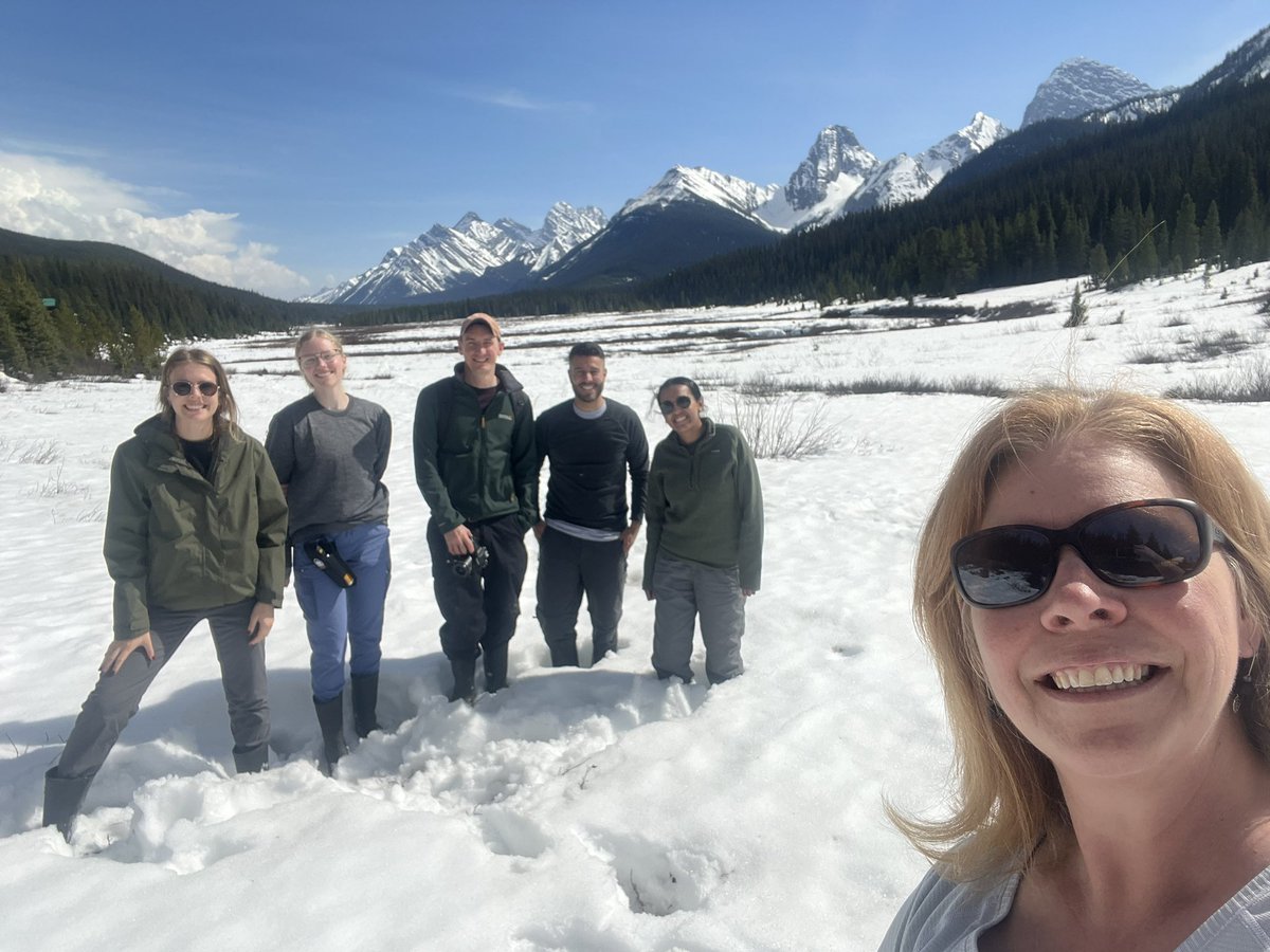 Our research group had a wonderful visit this week from two profs <a href="/CoventryCAWR/">CAWR Coventry</a> (James Hart &amp; Matteo Rubinato). We toured a wide range of 🦫 sites across Kananaskis Country to inform their lab flume studies of beaver dams. And only a few booters! <a href="/CentreForHydro/">Centre For Hydrology</a>
