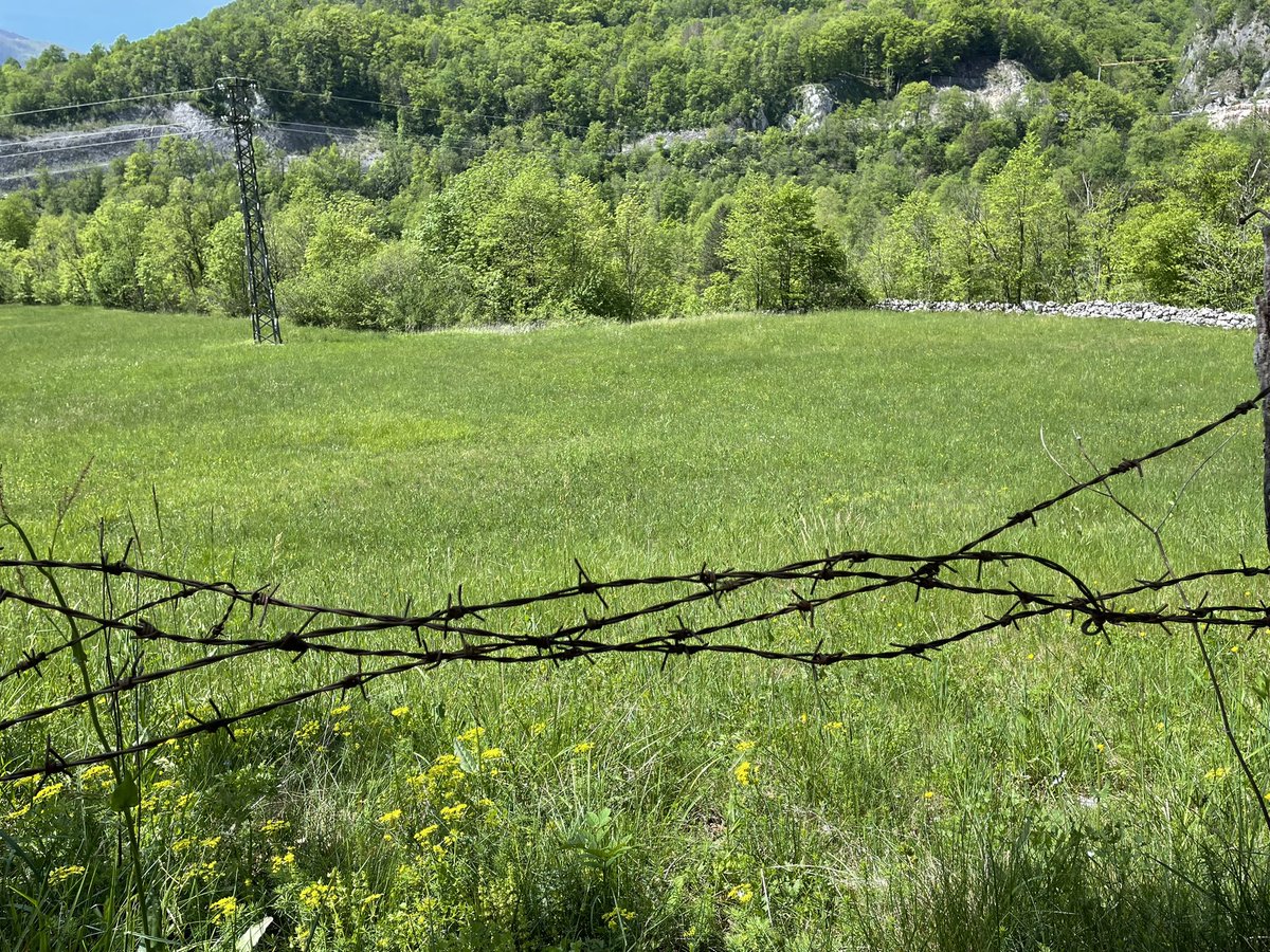 Battlefield finds at Caporetto today. The battle was so concentrated and so violent that a mere 18% of the battlefield has been excavated, and the rest is sealed off. There are almost certainly live munitions underground.