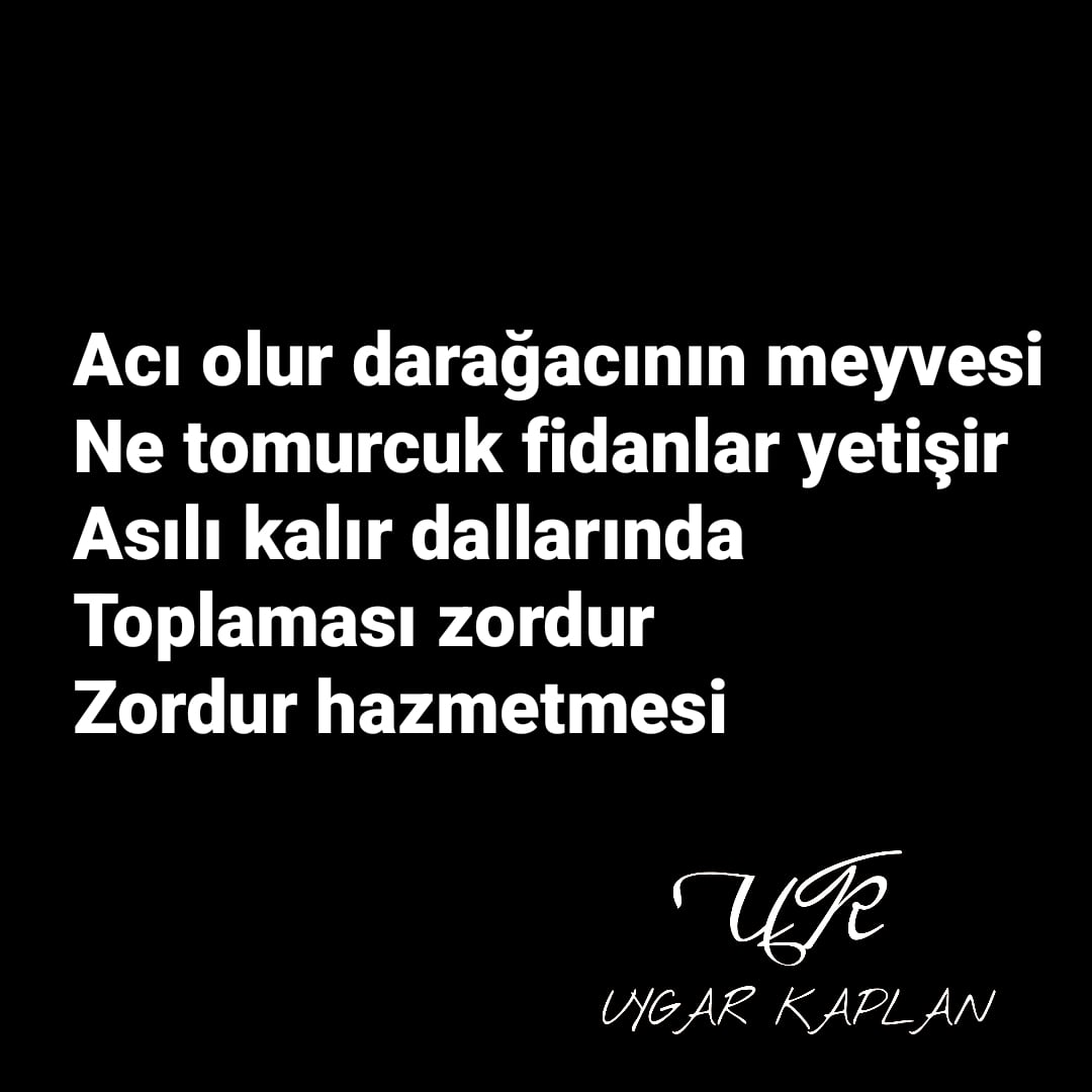 #6Mayıs1972 #DenizGezmiş #denizgezmis #Deniz #SiirSokakta #şiir #edebiyat