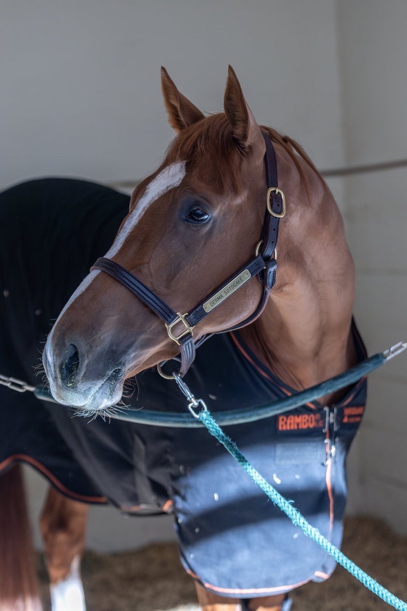 KentuckyDerby tweet picture