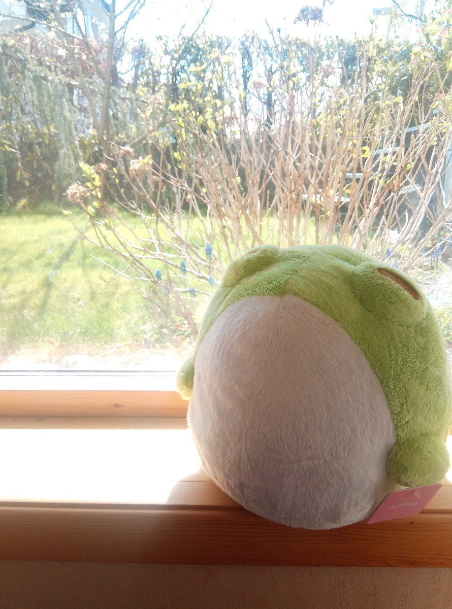 Flitterkriz's tweet image. Had some fun taking photos of @fluffnest #plushys karl finely got a green knife and really adorbs how I lined up the cows,😍
Thank you @fluffnestart and the rest of #fluffnest for making all this plushys come to life! Can&apos;t wait for the videogame!