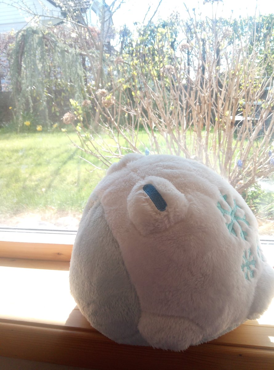 Flitterkriz's tweet image. Had some fun taking photos of @fluffnest #plushys karl finely got a green knife and really adorbs how I lined up the cows,😍
Thank you @fluffnestart and the rest of #fluffnest for making all this plushys come to life! Can&apos;t wait for the videogame!