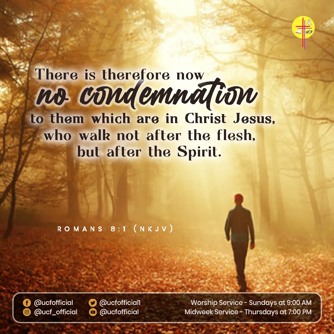 UCFOfficial1's tweet photo. Romans 8:1 (KJV)
There is therefore now no condemnation to them which are in Christ Jesus, who walk not after the flesh, but after the Spirit.
#UCF #UCF36 #UCFiBelong #UCFFamily #BibleVerse #GodsWord #Church #GodisGood #GodsLove #LostButNowFound #JesusChrist https://t.co/z6WHO713BR