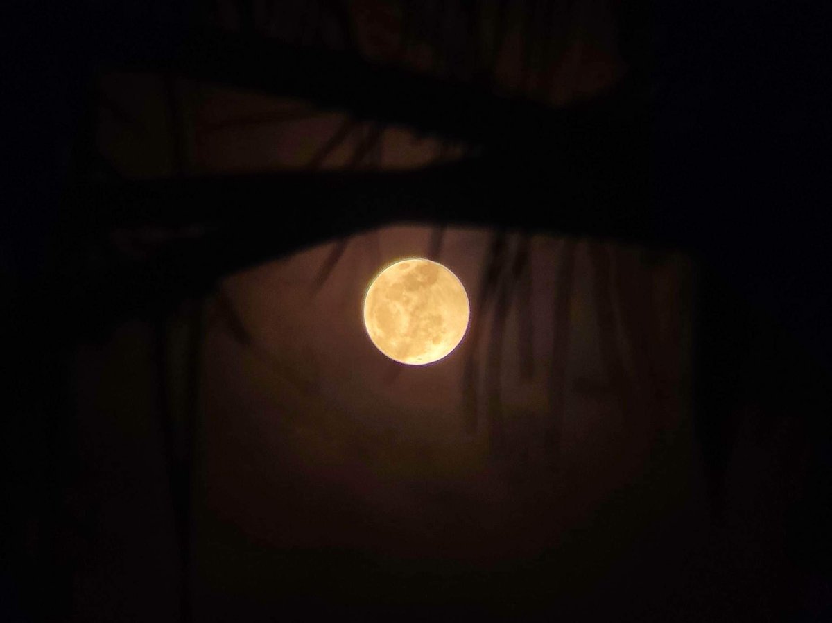 manilabulletin's tweet photo. THE MOON SHINES SO BRIGHT 🌕✨

LOOK: A photographer shares glowing photos of the full flower moon that illuminates through the night skies of Tandag in Surigao del Sur on Friday, May 5. 

📸Sherwin Revilleza Jr. https://t.co/347YcMEp4z