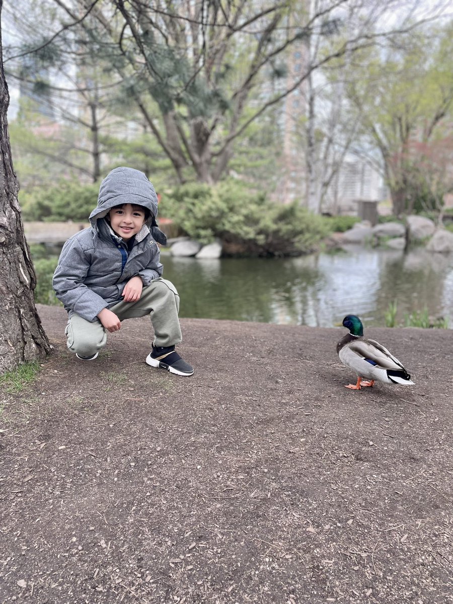 What’s up duck? 🦆

#ducks #duck #ducksofinstagram #waterfowl #duckhunting #nature #birds #hunting #ducklings #wildlife #duckseason #ducksunlimited #ducklife #geese #naturephotography #waterfowlhunting #photography #mallard #bird #outdoors #birdsofinstagram #animals