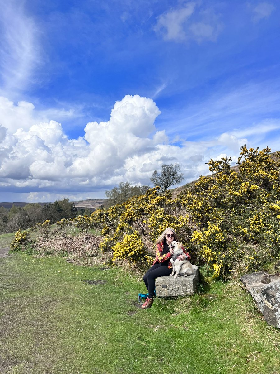 She Gets Around tweet media