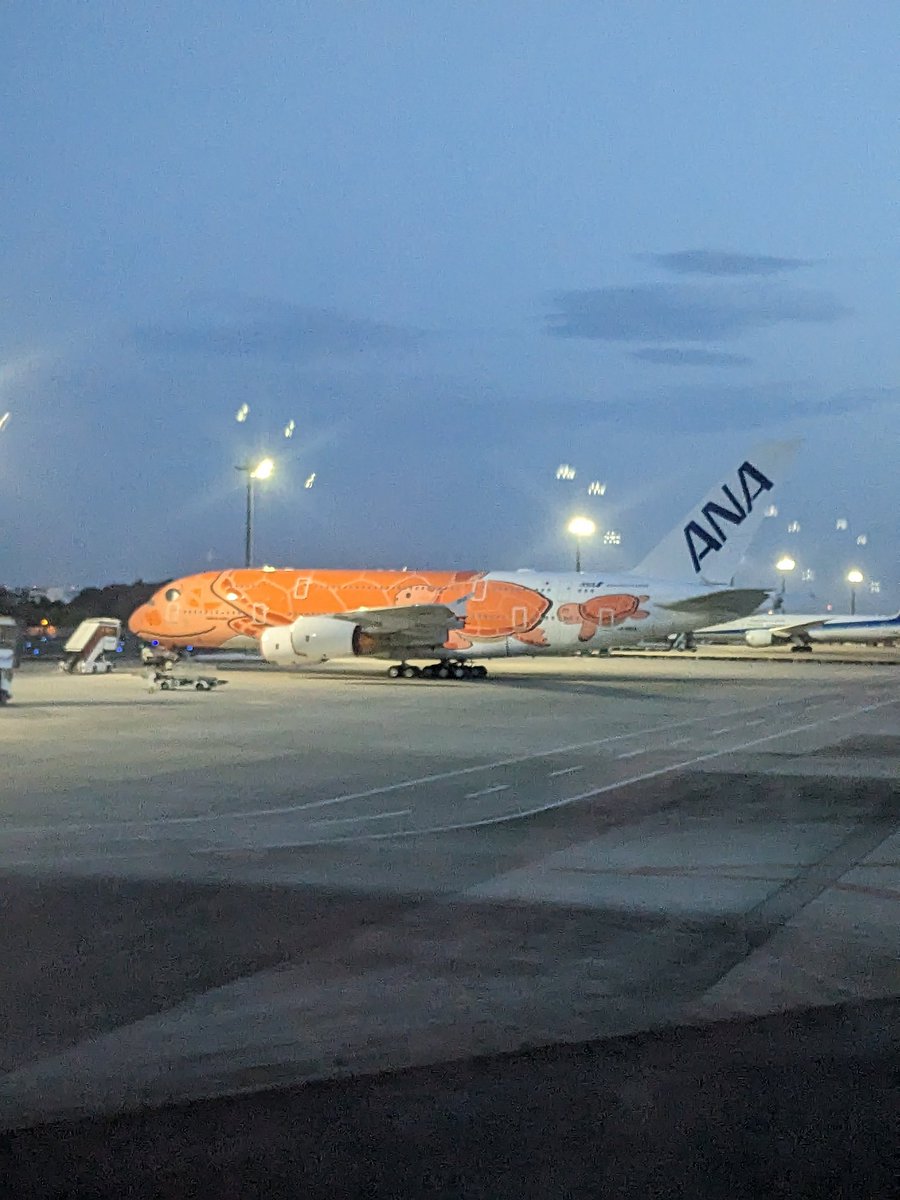DRAviography's tweet photo. ANA Airbus A380 on stand at Narita airport. Only a quick phone shot so not the greatest quality https://t.co/t2cvzuZpcz