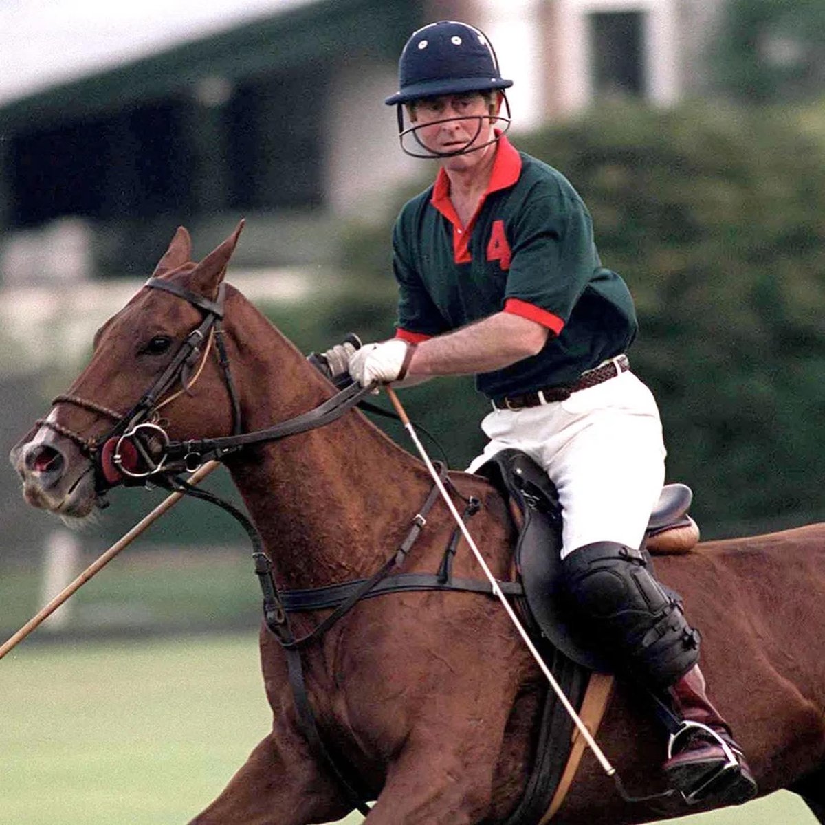 HURLINGHAM CLUB tweet media