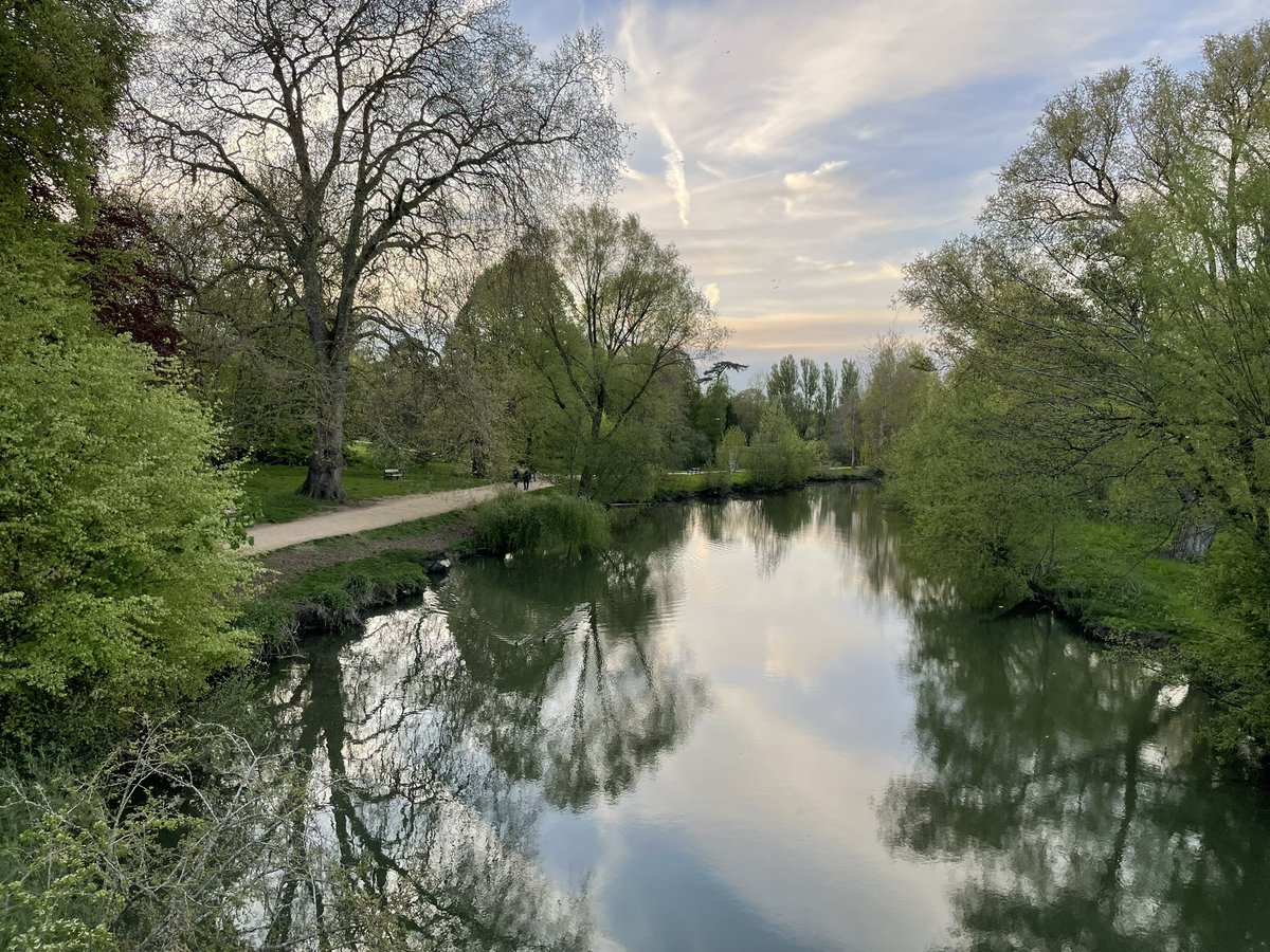 Julie Schmidt tweet media