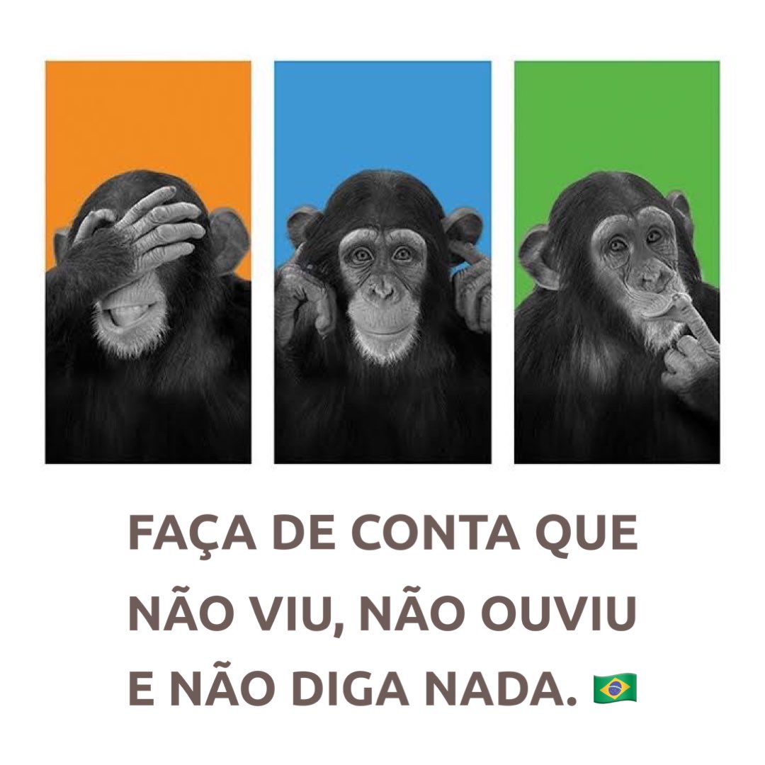 Danielmedeiros1's tweet photo. Bom dia! https://t.co/vf5H4AddJF