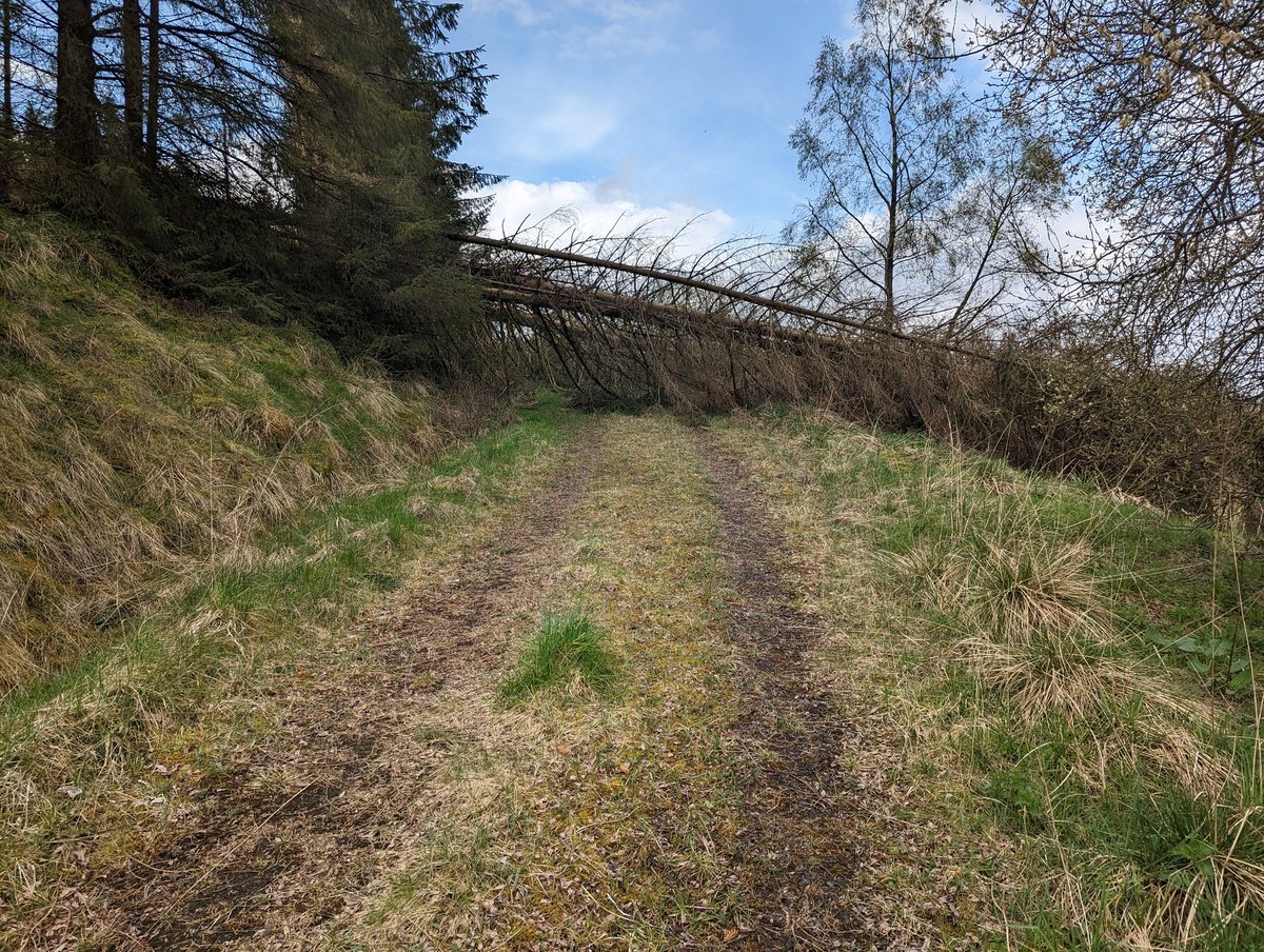 markhadfield's tweet photo. After a busy few days in an amazingly buzzy city, surrounded by some of the finest minds in the industry, I'm back in beautiful Northumberland and have spent all morning cycling. Bliss! https://t.co/asvBGSgRKp