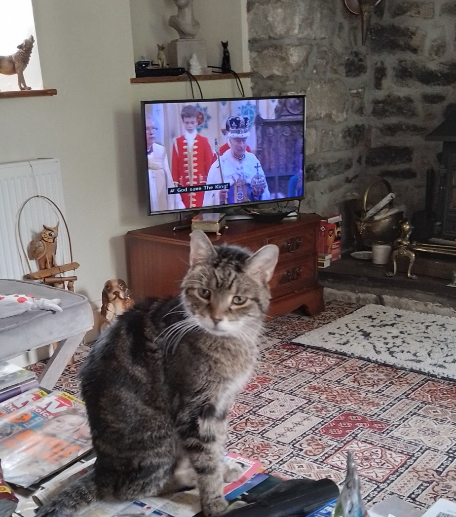 Major Apollo Tom tweet media