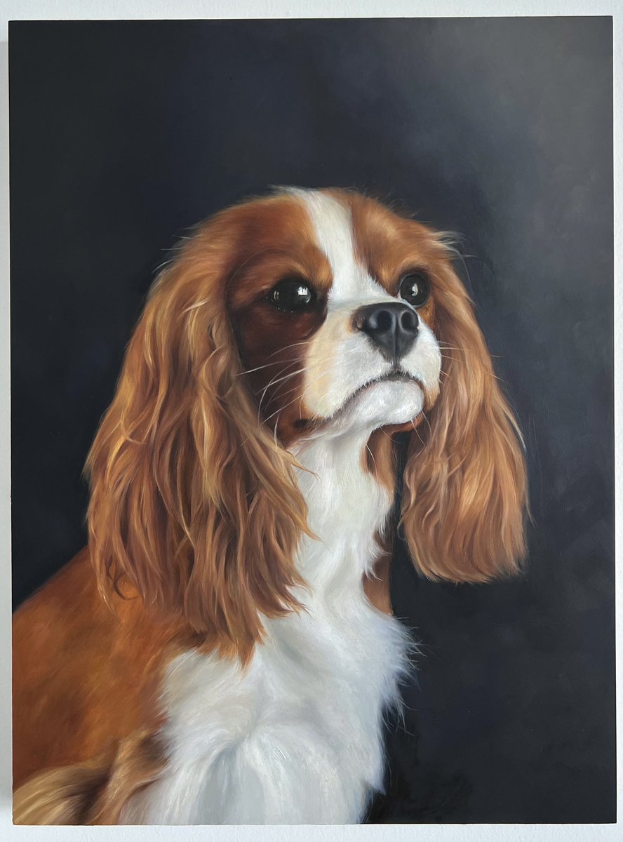 emmasummeruk's tweet photo. Also I painted my (cavalier) King Charles in oils and I reckon she looks more regal. Less nonces in the family as well https://t.co/0IUjehc51M