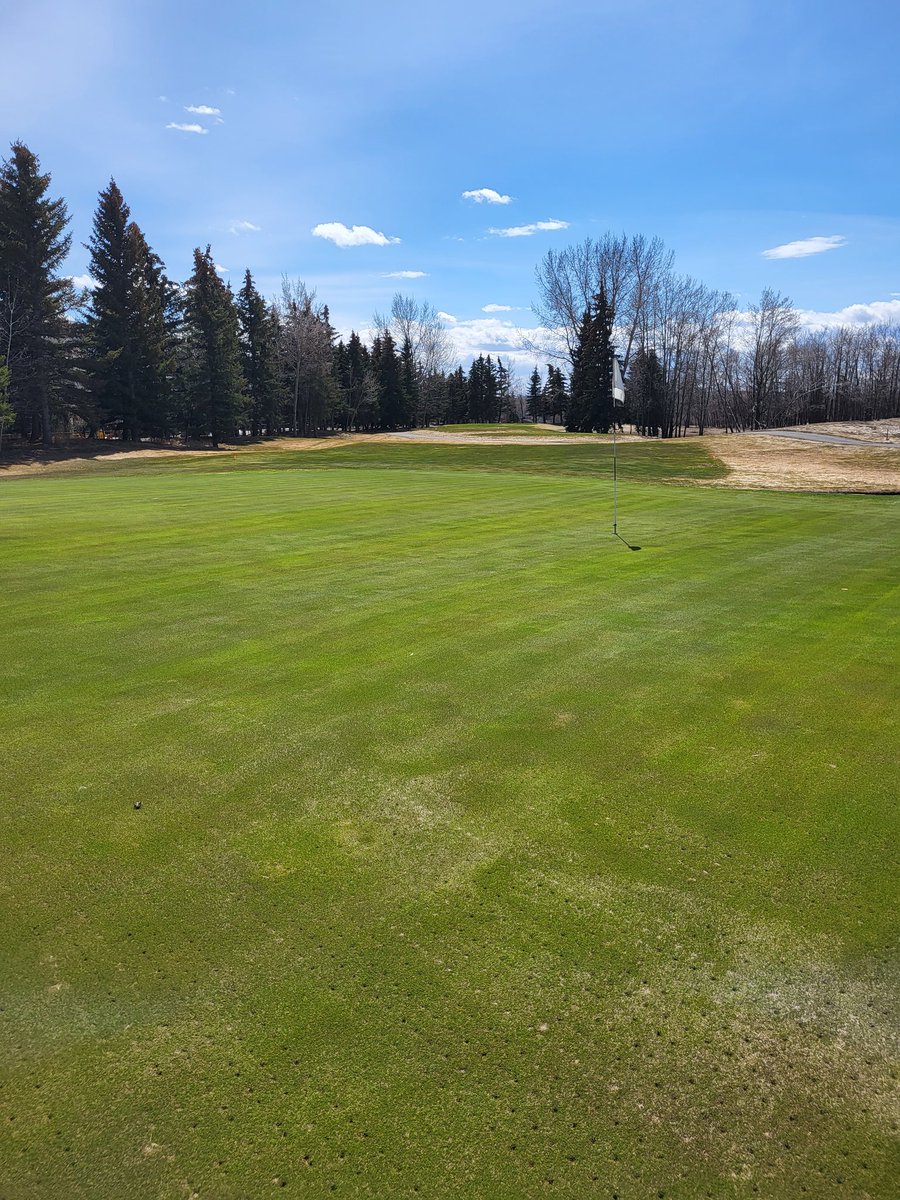 Dale Ekman tweet media