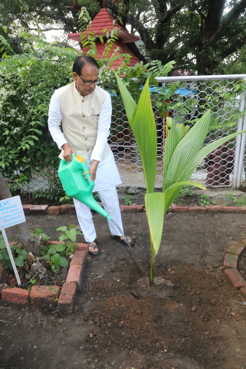 OfficeofSSC's tweet photo. माननीय मुख्यमंत्री श्री @ChouhanShivraj जी ने प्रतिदिन पौधरोपण के संकल्प के क्रम में निवास पर बगीचे में नारियल का पौधा लगाया।
#OnePlantADay https://t.co/ESmbB4qtrl