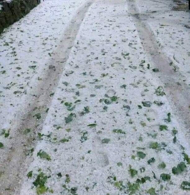 QarabSyed's tweet photo. Azad Kashmir in May ❤️ https://t.co/VTqYQacUR9