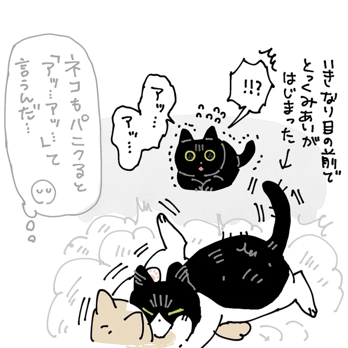 ろんさん、のんびりしてたら目の前でいきなり新入り親子が取っ組み合いを始めてきて、ちっちゃい声で「アッ…アッ…」て言ったあと慌てて退避していった 反応がもはや人間なのよ…