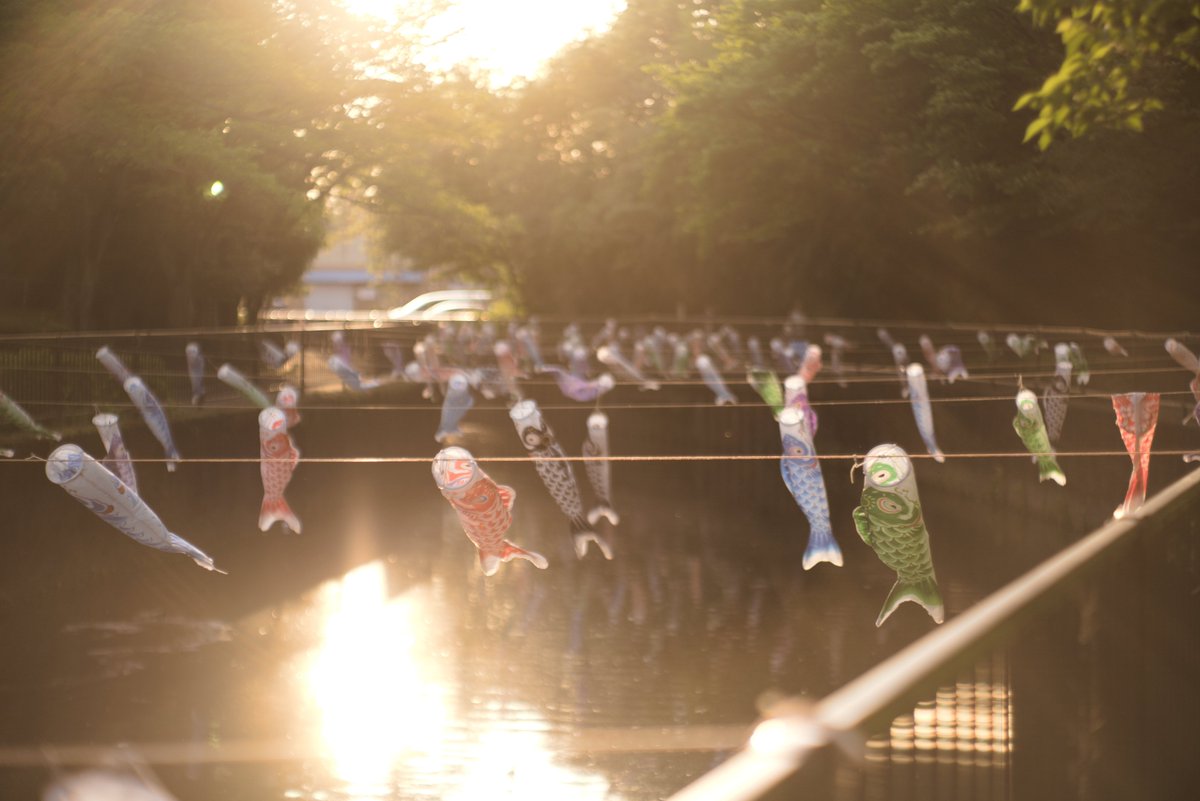 capesuki's tweet image. また来年
#photpgraphy