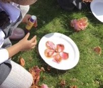 ljboyer4's tweet photo. Making miniature gardens, fit for a king, 👑 this week in the woodland garden. https://t.co/e8gOtB1DOA