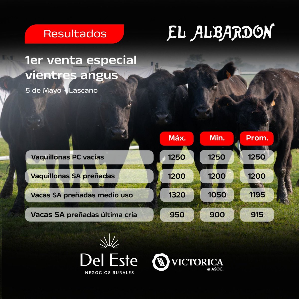 victorica_y_aso's tweet photo. Estos son los resultados del remate especial de vientres Angus de El Albardón.
#SELLOdeVALOR
@AngusUruguay https://t.co/VYLVFMsQck