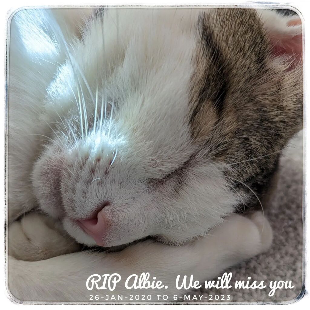 GKPhotography's tweet photo. 😢 https://t.co/sCih9McAnj https://t.co/B6dC3iDTTR