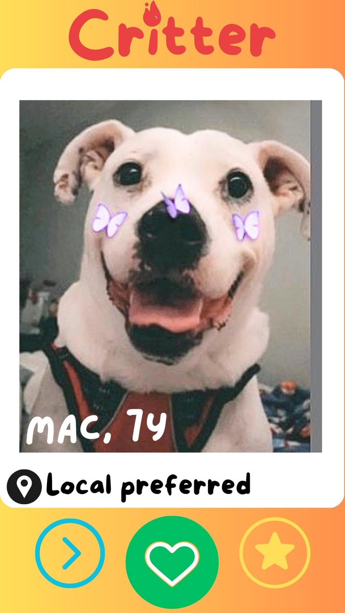 ProspectivePets tweet picture