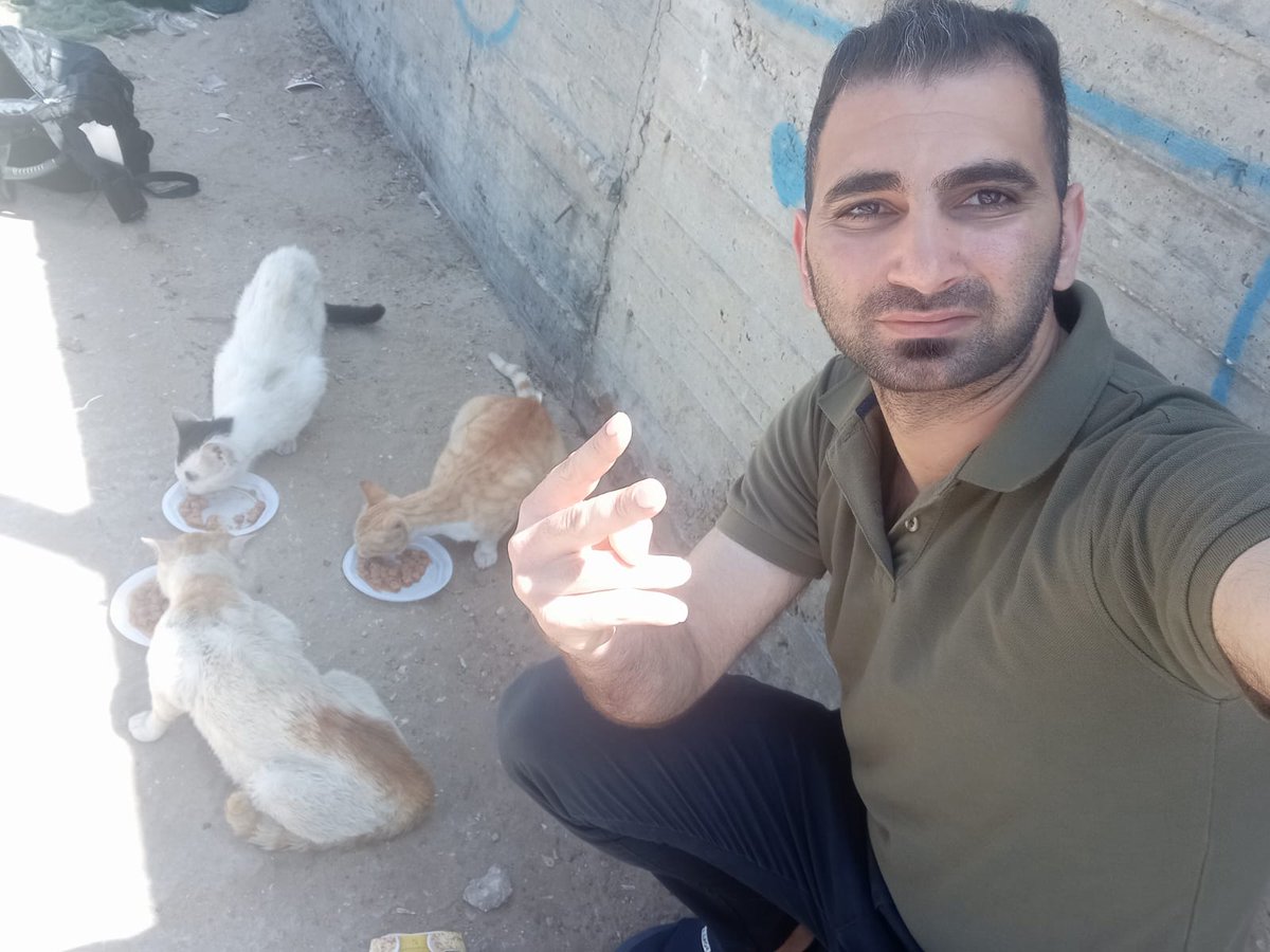 Cat Lover On Twitter cat-lover-on-twitter