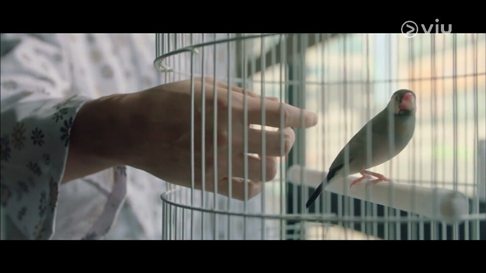 morbiidangell_'s tweet photo. Kuşu sırf ses çıkardığı için öldürdü amk artık içindeki psikopat gün yüzüne çıkmaya başladı sonunda
#Mouse #MouseEp6 https://t.co/gbCIcjG0HR