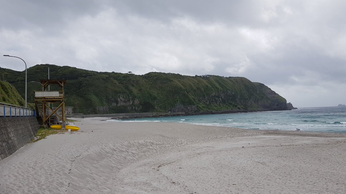 ShaneBrained tweet media