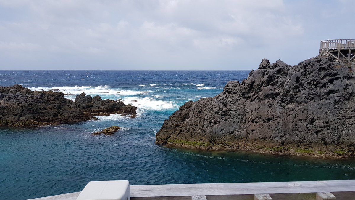 ShaneBrained tweet media