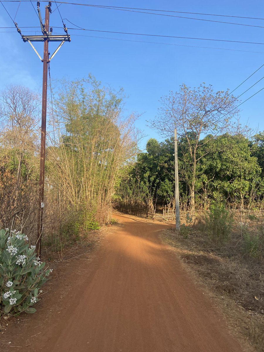 rane_aditya1's tweet image. Guess if I don’t become a good VC, i can sell cashews and mangoes for a living. 😂 #origins #nativeplace