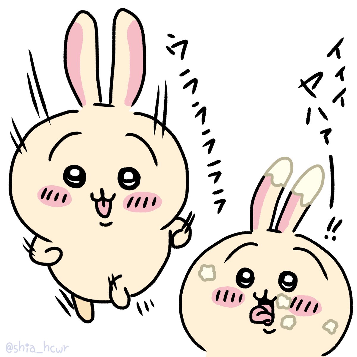 うさぎの好きな表情は特に食べ物に対して全力なところ🐰