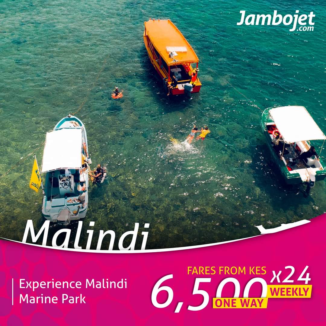 Change your scenery this May 2023 with a trip.

Book your flight to either Mombasa, Kilifi's Malindi 🌴☀️🌅, Diani, Lamu, Kisumu, or Eldoret on jambojet.com .

Dial or WhatsApp: +254 717655610

#LabourDayWeekend ☀️
#TheGreatOutdoors 
#NowTravelReady 🛫