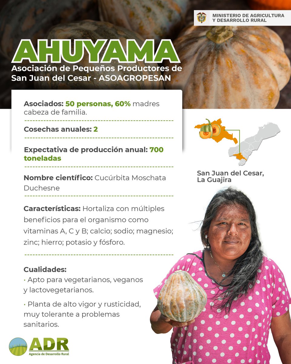 Las familias agricultoras de la Asociación de Pequeños Productores de San Juan del Cesar encontraron, desde hace 20 años, su pasión por la producción de ahuyama, que se destaca en #ColombiaEnMACFRUT2023🇨🇴🇮🇹 por su versatilidad y beneficios.

Conoce más👇