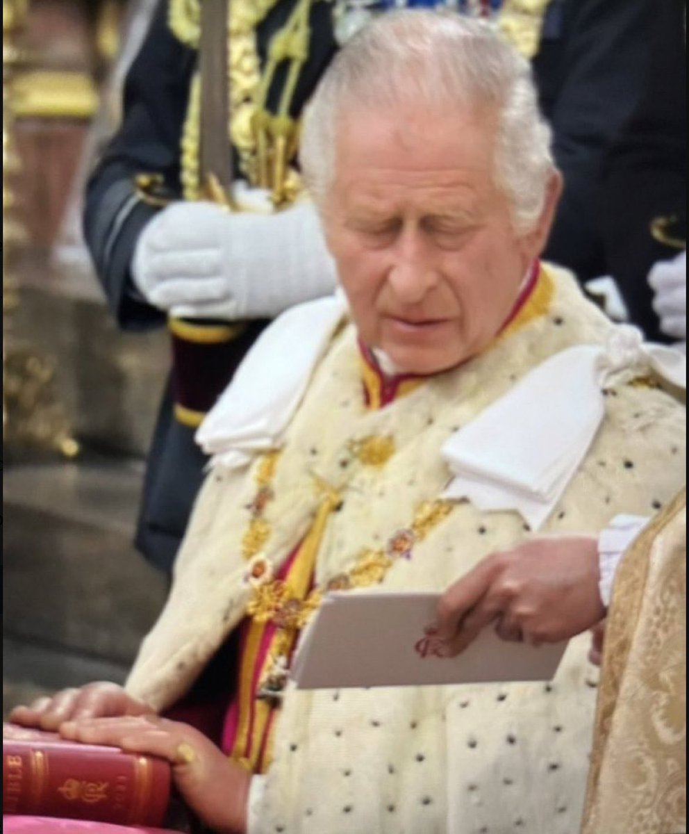 "Get the most crowns on Alex's head. You may not touch the red carpet. You have 10 minutes. Your time starts now."