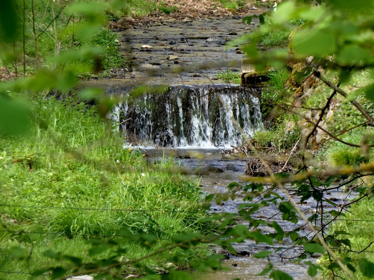mgarciave06's tweet photo. Río Cilorio en Valgañón (La Rioja)

#paisajesescondidosebro @ch_ebro #ríoebro #ebreriver #ebroludica #rioglera #riooja https://t.co/8yL0nFXaKR